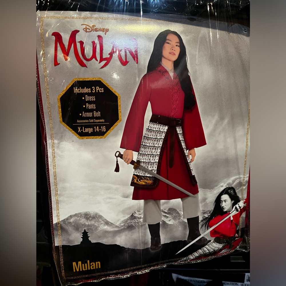 Disney Mulan Adult costume